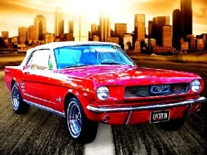Zilnic Mustang Jigsaw