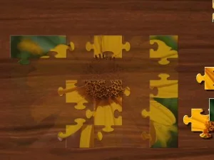 Puzzle -ul Jigsaw